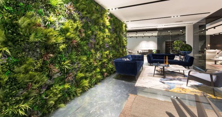 Cum să îți faci propriul perete verde în casă Simplu și eficient